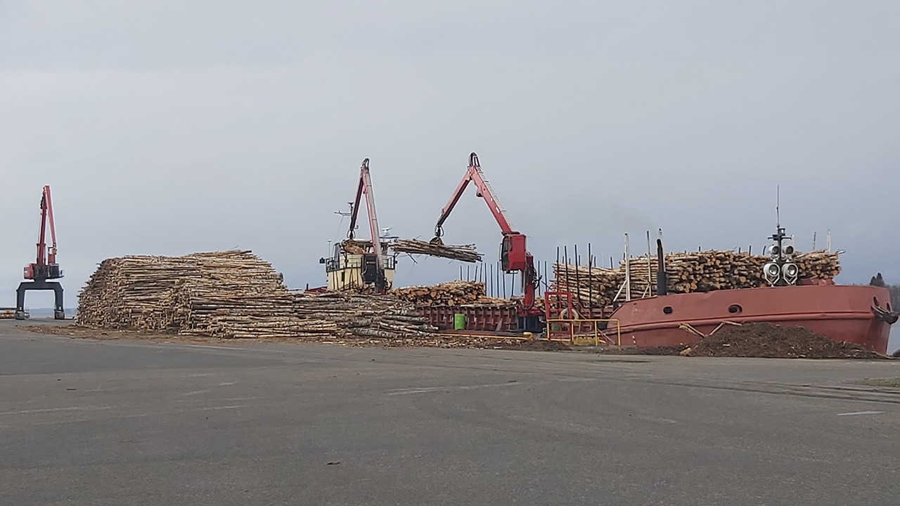Laivasta puretaan puulastia satamassa.