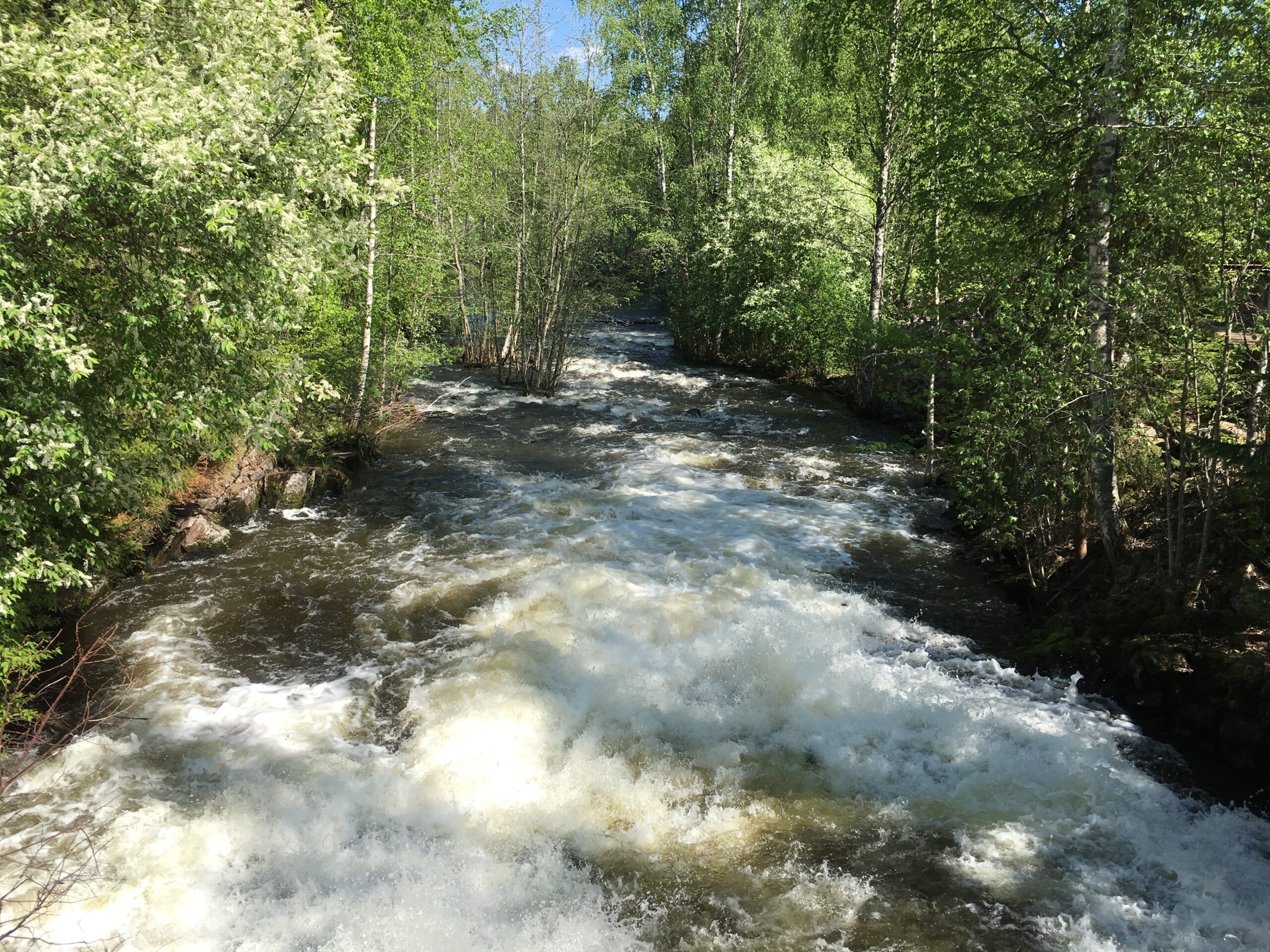 Hiitolanjoen voimalapadot puretaan ja kosket ennallistetaan – lohille väylä auki Suomen latvavesille