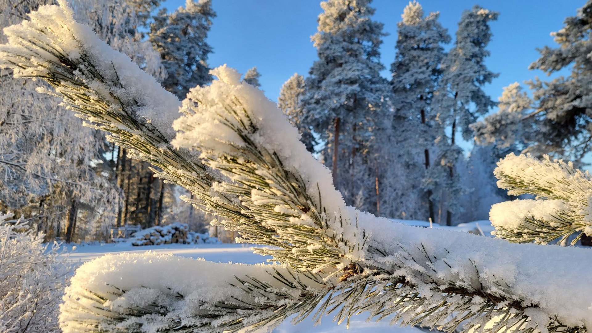 Etelä-Karjalan liiton ÄRM-rahoitushaun info 23.1.2025