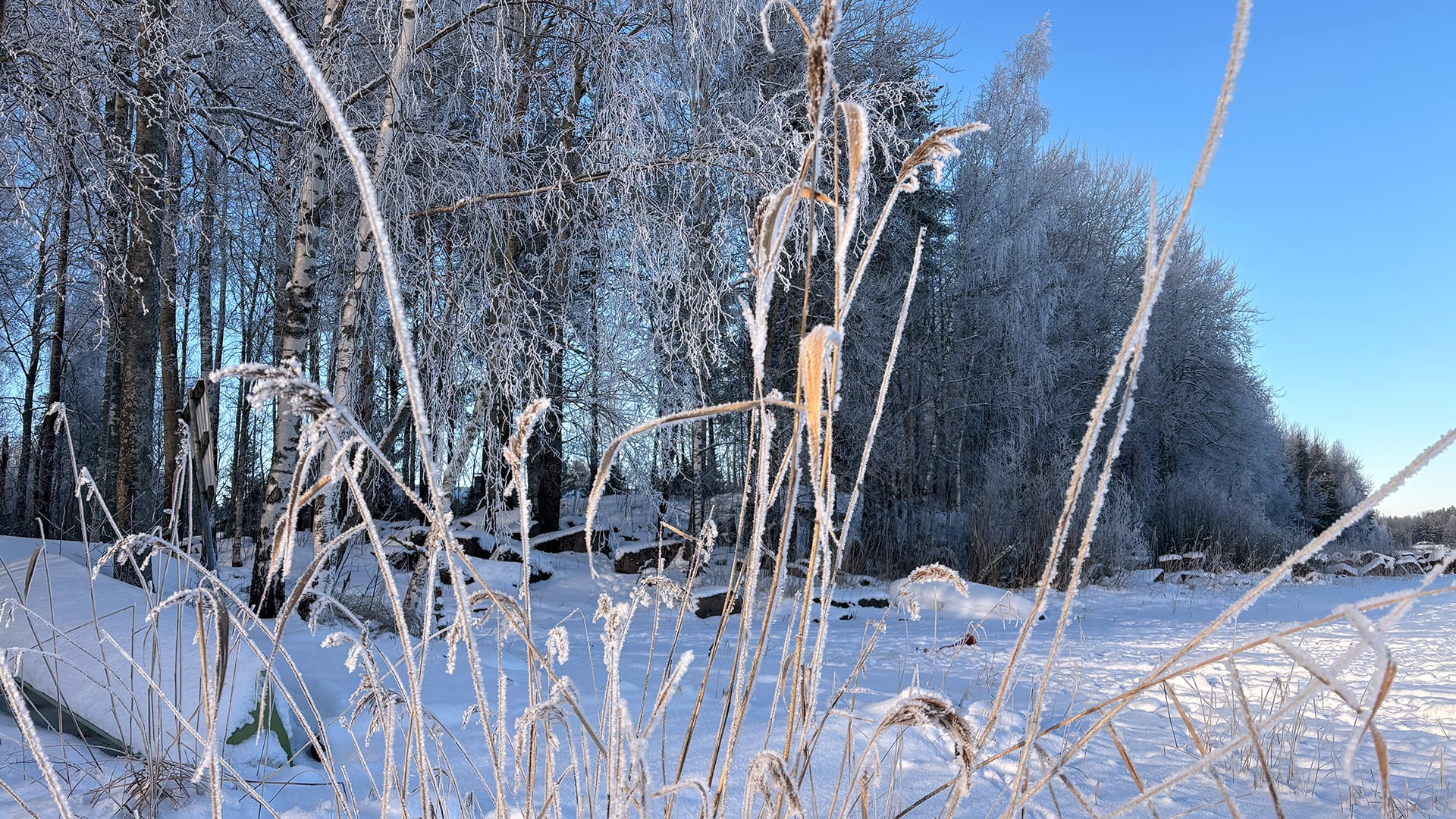 Luminen rantamaisema.