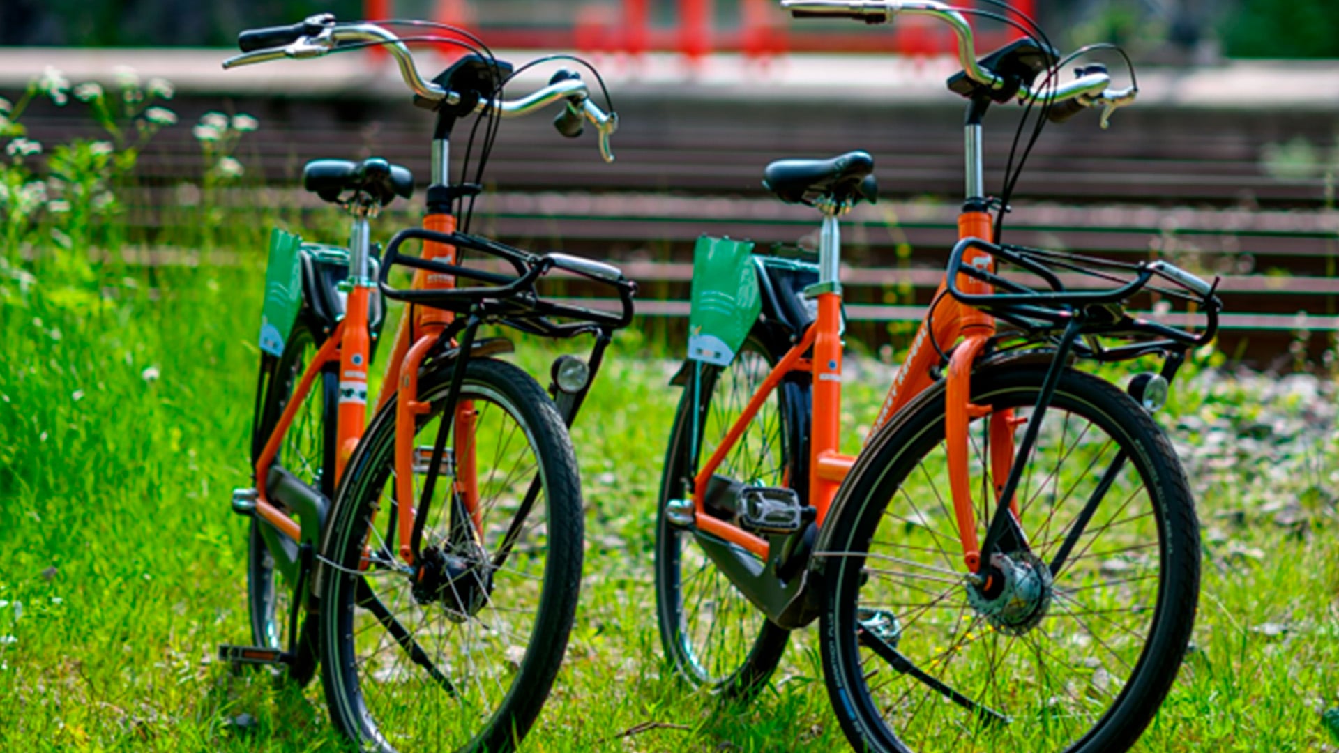 Kaksi polkupyörää nurmikolla.